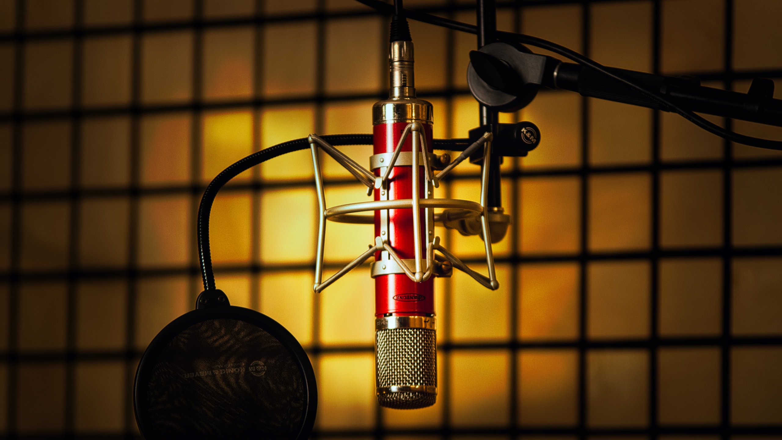 Warm-lit microphone in the recording room